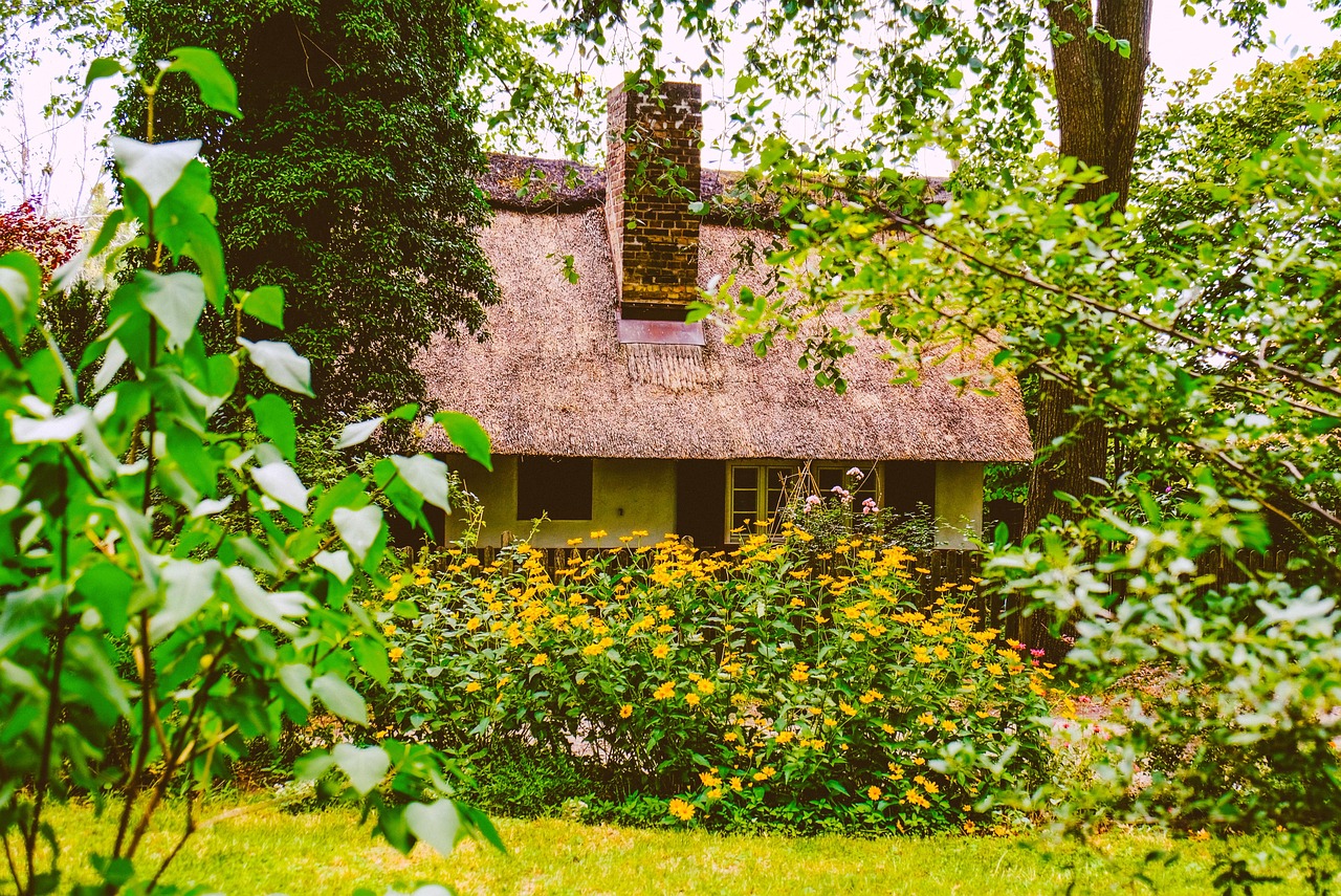Comment construire un abri de jardin en bois de A à Z sans être un expert ? construisez un abri de jardin robuste et fonctionnel grâce à nos conseils et guides détaillés pour la construction d'un cabanon.