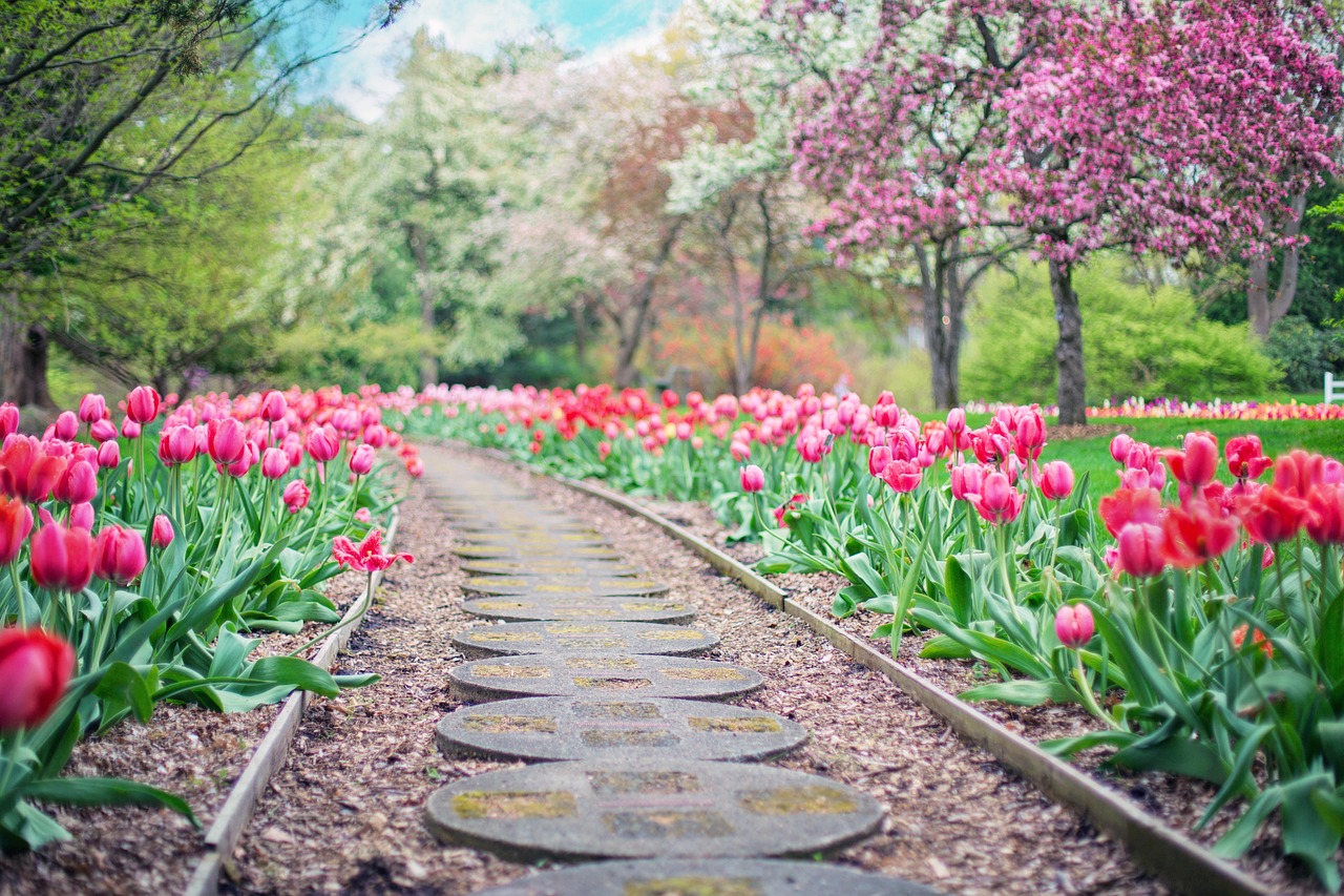 Comment créer une allée de jardin durable avec des matériaux récupérés ou peu coûteux ? découvrez comment créer un chemin de jardin durable alliant esthétique et respect de l'environnement pour un espace extérieur écologique et convivial.