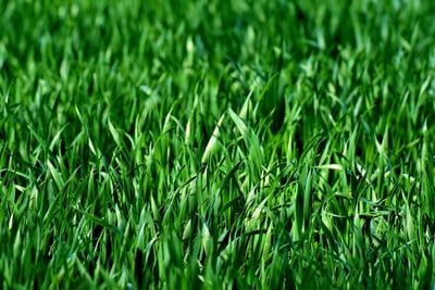Aménagement extérieur : comment optimiser l’espace de votre jardin ?