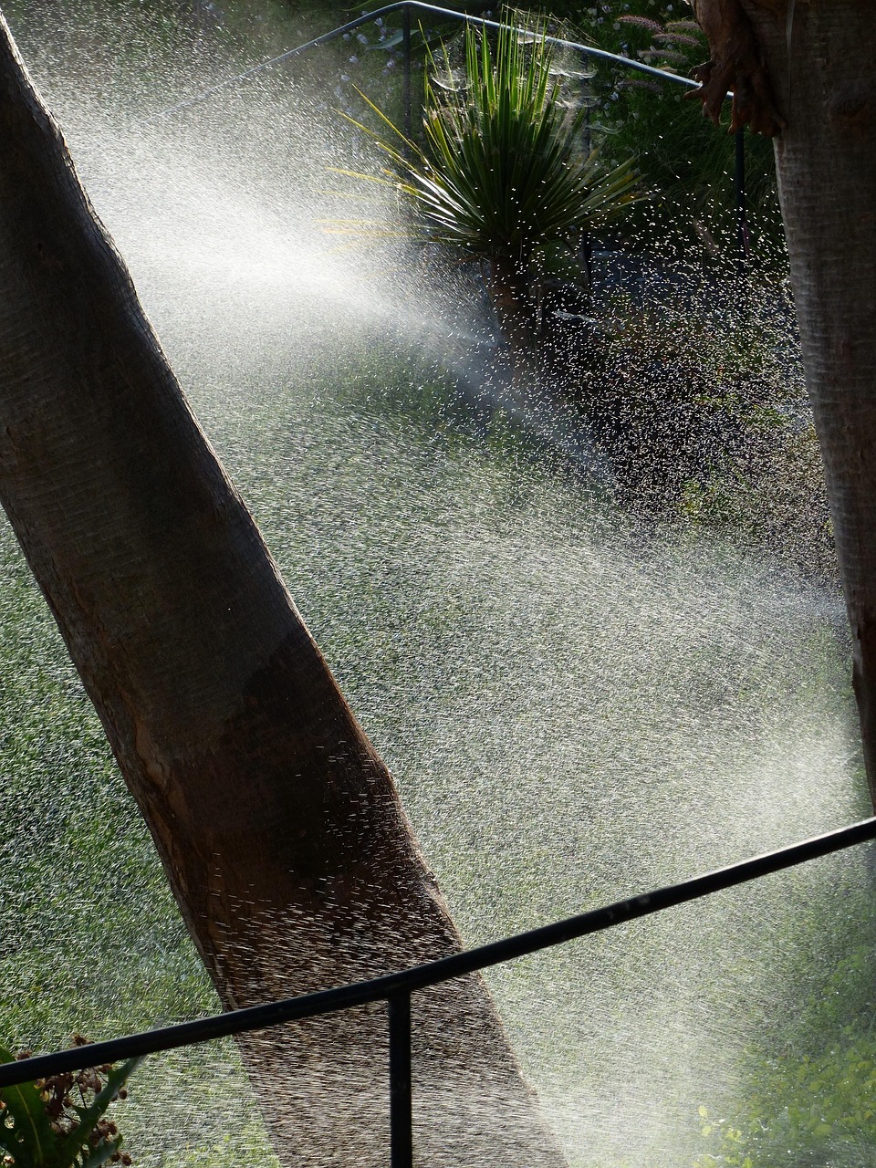 Pourquoi installer un système d’arrosage automatique dans son jardin et comment procéder ?